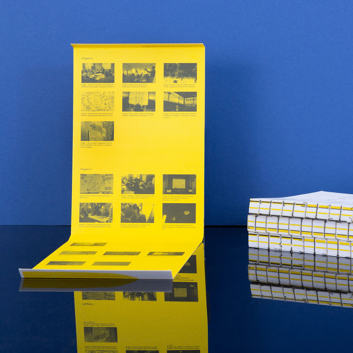 Tessa Cramer The Reluctant Professional Book [concept]