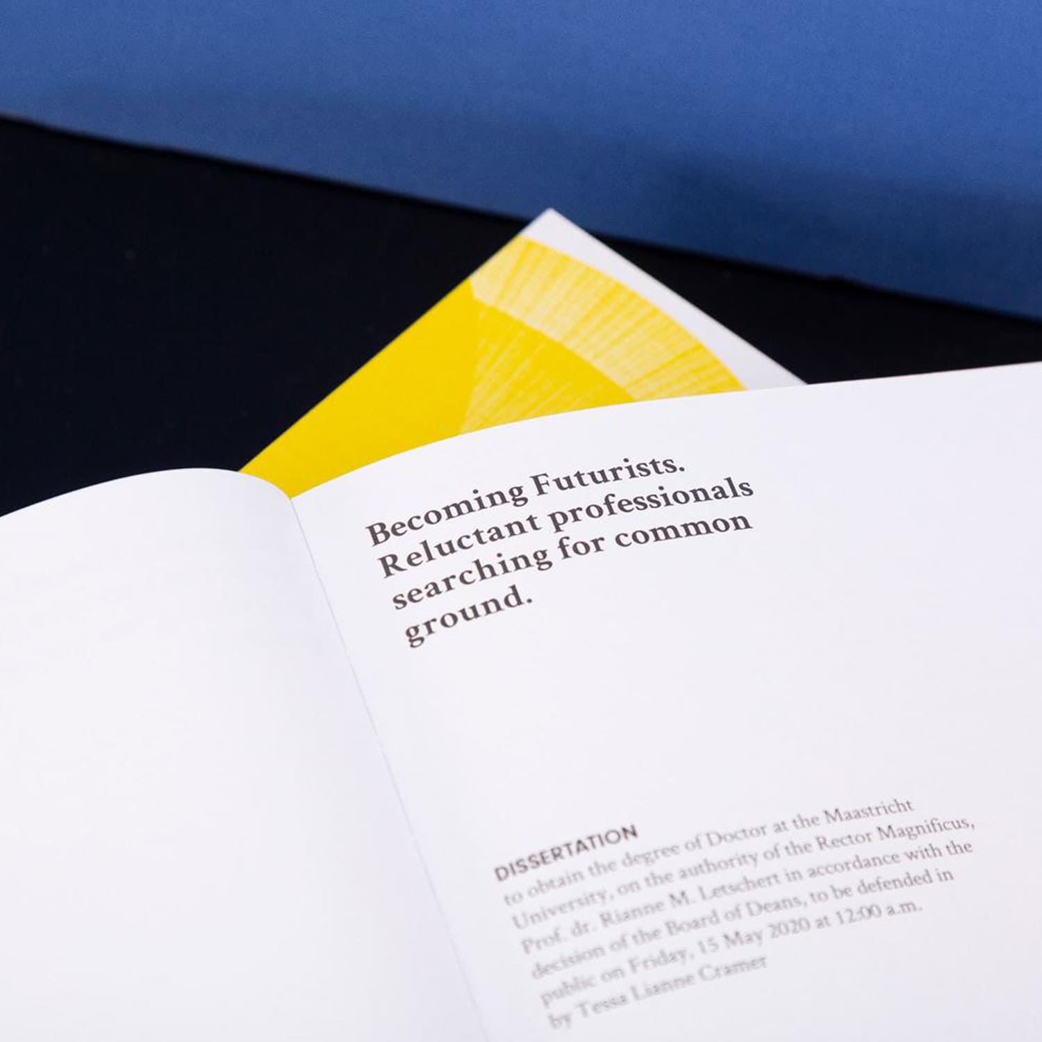 Tessa Cramer The Reluctant Professional Book [concept]