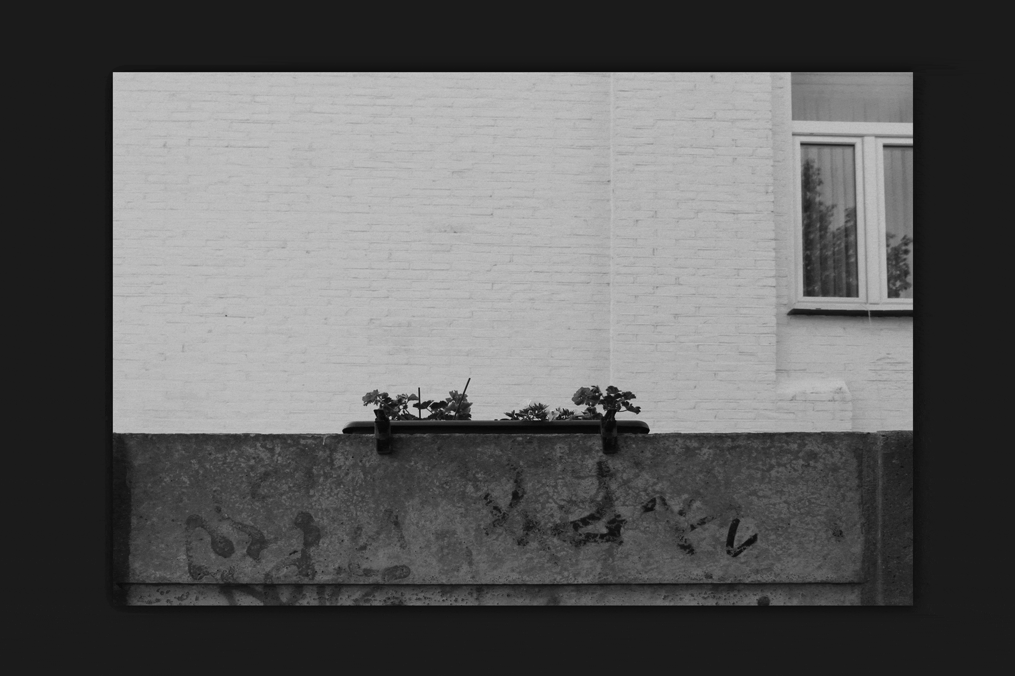 Alter Ego Urban Discomfort Catalogue and Exhibition